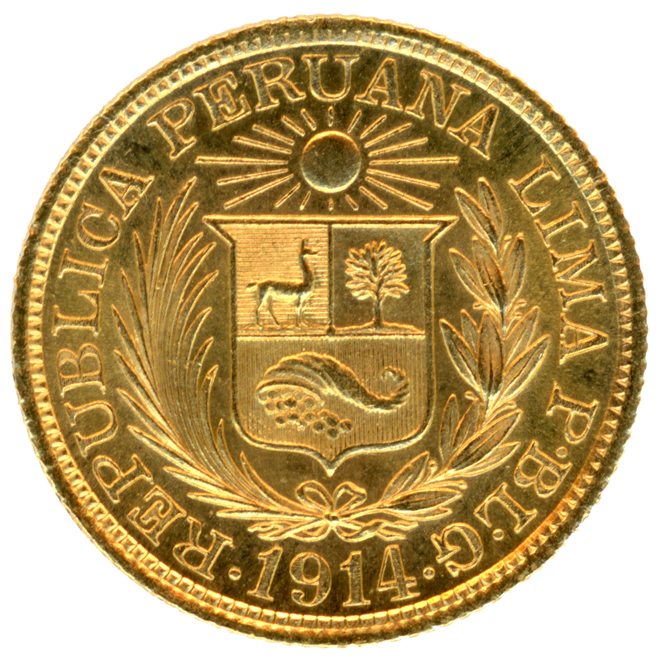 Pérou - 1 Libra or - 1914 revers